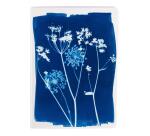 Cyanotype, Carnet cousu fil A5 14,8x21 cm, 64 pages, ligné, ass.