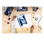 Cyanotype, Chemise à élastique 24x32cm