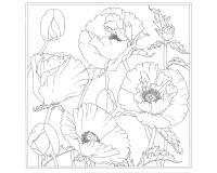 Carré 100% soie - 90x90cm Pavot - Blanc