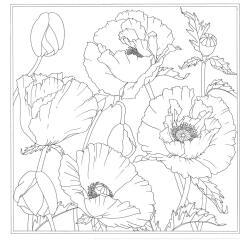 Carré 100% soie - 90x90cm Pavot - Blanc