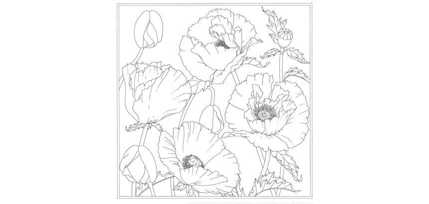 Carré 100% soie - 90x90cm Pavot - Blanc