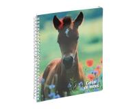 Cahier de textes Animaux poulain 17 x 22 cm - Visuel