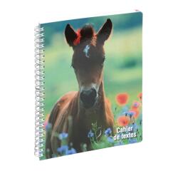 Cahier de textes Animaux poulain 17 x 22 cm - Visuel