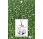 Bloc éphéméride comique Classique sur plaque illustrée 18 x 26 cm 2026 - Visuels assortis