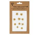FLEURS SÉCHÉES PRÉSSÉES, Pochette de 10 pièces - Jaune