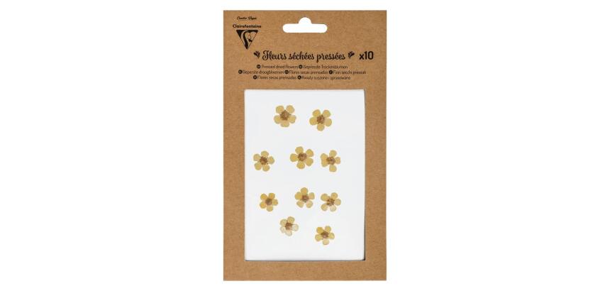 FLEURS SÉCHÉES PRÉSSÉES, Pochette de 10 pièces - Jaune