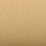 Ingres Pastel paquet 25F 50x65cm 130g