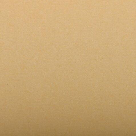 Ingres Pastel paquet 25F 50x65cm 130g