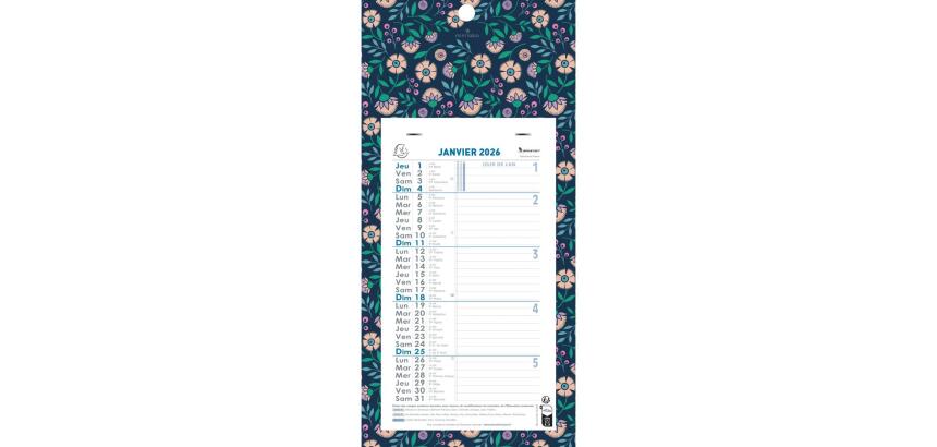 Calendrier mensuel Mini Labo avec feuillets détachables 13 x 23 cm sur support plaque imprimée 16 x 33 cm 2026 - Visuels assortis