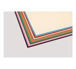 Tulipe rame 12F 24x32cm 160g - Assortiment