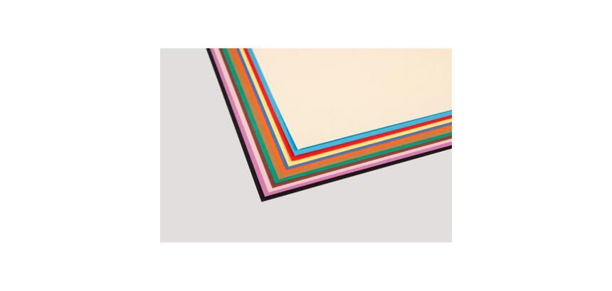 Tulipe rame 12F 24x32cm 160g - Assortiment