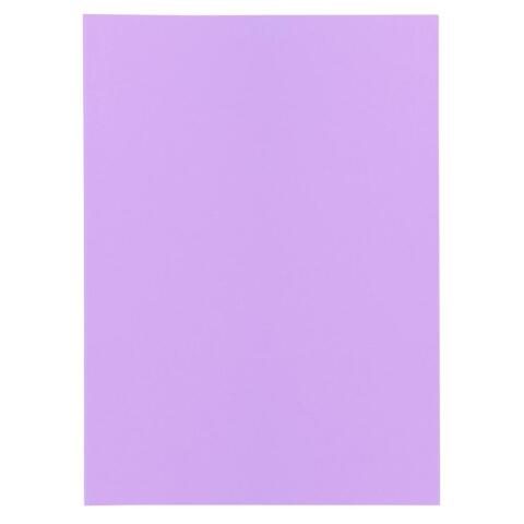Paquete de 250 Subcarpetas de papel Super 60 g/m2 - Lila
