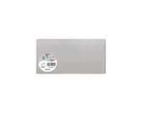Paquet de 25 cartes simples Pollen 106x213mm 210g/m² - Argent