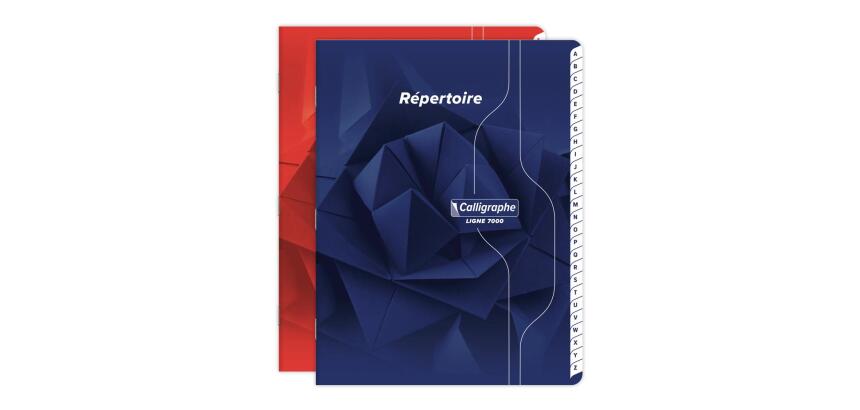 Répertoire piqué 7000 17x22 cm 96 pages petits carreaux 70 g - Assortis