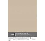 PastelGrain paquet 5F 50x70cm 360g - Sable