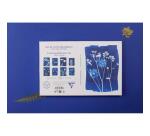 Cyanotype, Set de correspondance 12x16,5 cm contenant 8 cartes simples 11x15,5 cm assorties et 8 enveloppes Pollen C6 blanc naturel