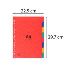 Intercalaires carte lustrée 225g 8 positions - A4 - Couleurs assorties