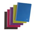 Cahier reliure intégrale Linciolor INTENSIVE 17x22cm 100 pages grands carreaux couverture plastique polypropyène rainuré Couleur aléatoire - Assortis