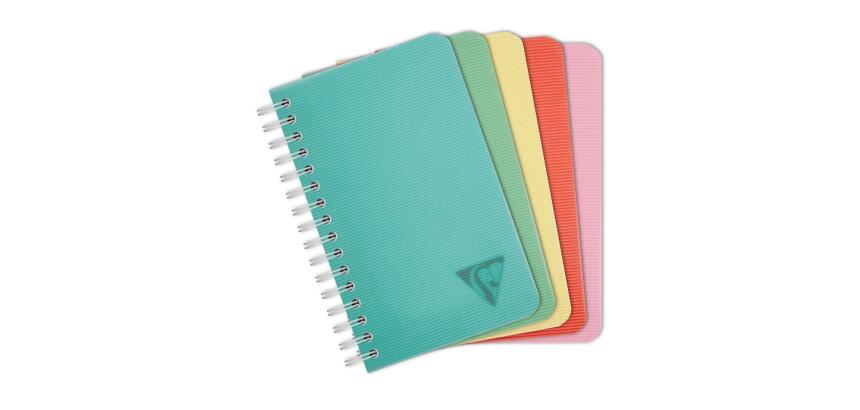 Carnet reliure intégrale Linicolor ESSENCE 9,5x14 cm 100 pages petits carreaux couverture plastique polypropyène rainuré - Assortis