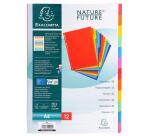 Separadores Cartulina lustrada rígida 5/10º - 400 g/m 2 - Colores surtidos