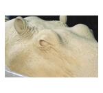 1 kg de plastiline dureté 60
