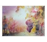 Fontaine album spiralé 12F 30x40cm 300g grain fin