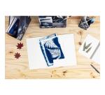 Cyanotype, Chemise à élastique 24x32cm