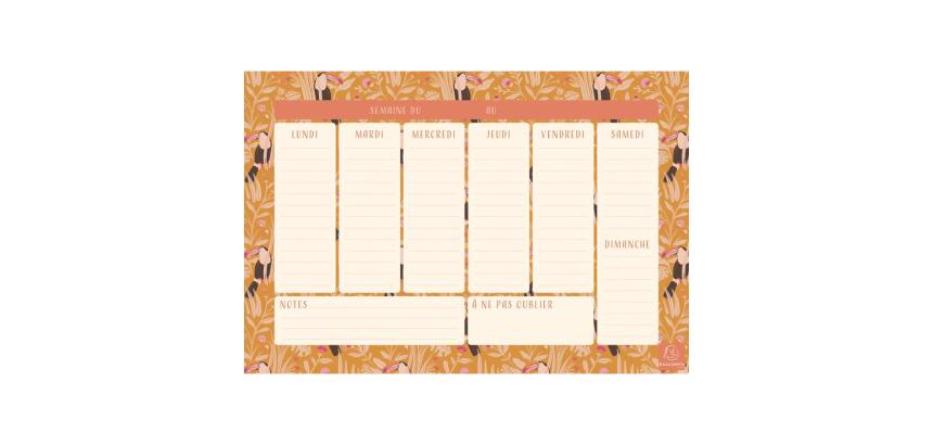 Hebdo Planner Color Design Toucan 26,5 x 18 cm - Visuel