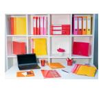 Classeur 2 anneaux 30mm IDERAMA PP - A4 maxi