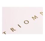 Triomphe GOLD cahier piqûre textile A4 96 pages ligné papier blanc 90 g - Blanc