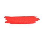 Encre de calligraphie 40ml