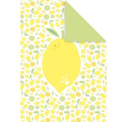 DECORATIV', Paquet de 25 feuilles 160g/m2 au format 21x29,7cm - Fraîcheur citron 3 - Multicolore