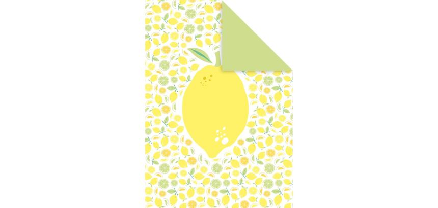 DECORATIV', Paquet de 25 feuilles 160g/m2 au format 21x29,7cm - Fraîcheur citron 3 - Multicolore