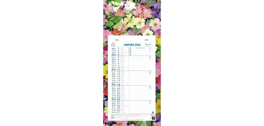 Calendrier mensuel Fleurs avec feuillets détachables 15,5 x 28,5 cm sur support plaque imprimée 19 x 41 cm 2026 - Visuels assortis
