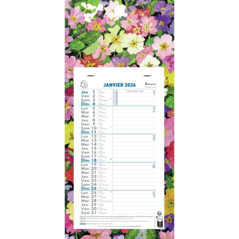 Calendrier mensuel Fleurs avec feuillets détachables 15,5 x 28,5 cm sur support plaque imprimée 19 x 41 cm 2026 - Visuels assortis