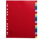 Separadores Separadores con pestañas impresas Polipropileno 12/100º - Surtidos brillantes - Colores surtidos vivos