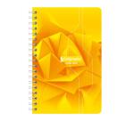 Carnet reliure intégrale 7000 11x17 cm 100 pages petits carreaux 70 g - Assortis