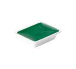 Aquarelle extra-fine godet géant - Vert permanent