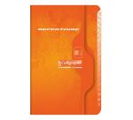 Répertoire piqué 7000 9x14 cm 96 pages petits carreaux 70 g - Assortis