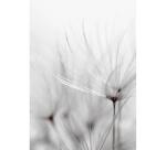 SET DE CORRESPONDANCE THÉMATIQUE, 8 enveloppes Pollen C6 (114x162mm) 120g + 8 cartes pliées 110x155m 185g, Condoléances