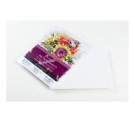 Sachet 12 feuil Zeta 270g - 20,3x25,4cm - Blanc