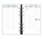 Organiseur Exatime 17 Baltique 15 x 19 cm Semainier Septembre 2025 à Décembre 2026 - 16 mois