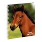 Cahier de textes Animaux Cheval 17 x 22 cm - Visuels assortis