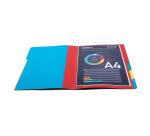 Trieur HARMONIKA® à fenêtres avec élastiques véritable carte lustrée 6 compartiments