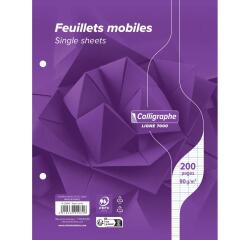 Feuillets mobiles sous film 7000 17x22 cm 200 pages perforées 2 trous grands carreaux 90 g