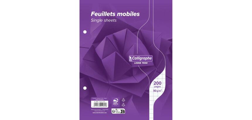 Feuillets mobiles sous film 7000 17x22 cm 200 pages perforées 2 trous grands carreaux 90 g