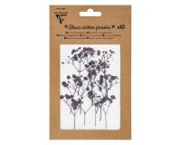 FLEURS SÉCHÉES PRÉSSÉES, Pochette de 10 pièces - Lavande