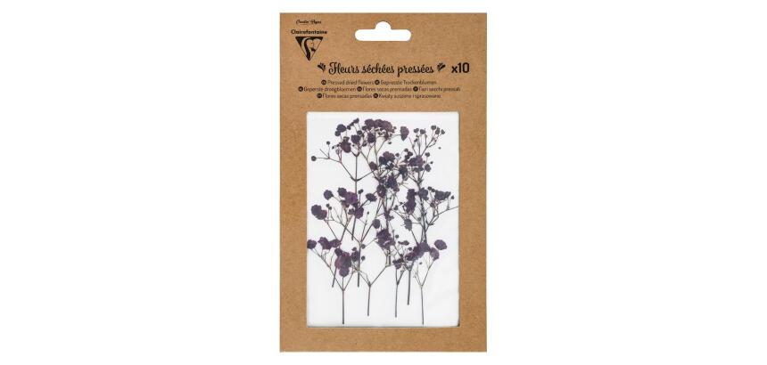 FLEURS SÉCHÉES PRÉSSÉES, Pochette de 10 pièces - Lavande