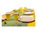 Caminos de mesa - Spunbond 24x0,40 m