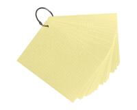 Paquet de 50 Flashcards sous film + anneau - bristol dots perforé - Format A6